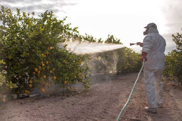 Best Pest Control for Restaurants  in Clemson, SC