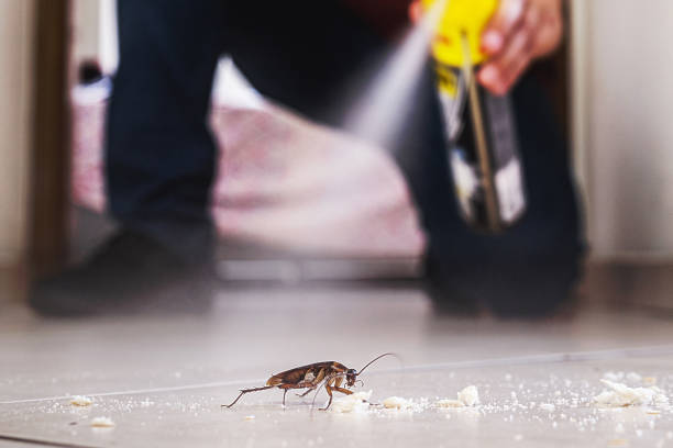 Best Commercial Pest Control Services  in Clemson, SC