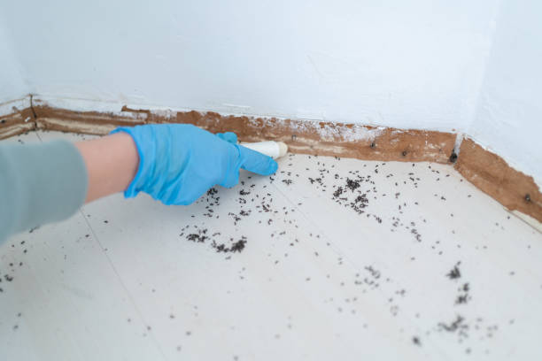 Best Best Pest Control Companies  in Clemson, SC